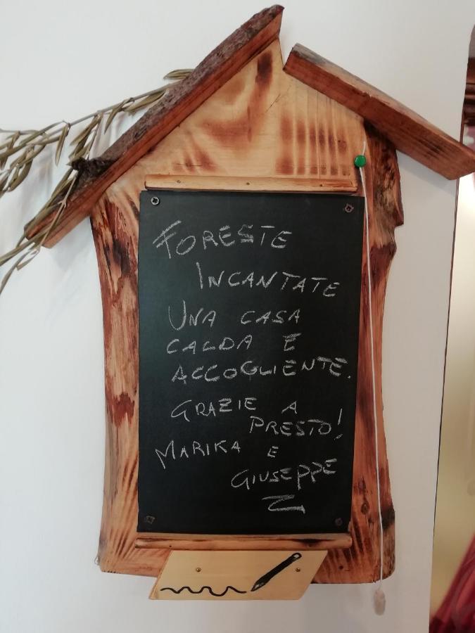 La Casina Lejlighed Stia Eksteriør billede